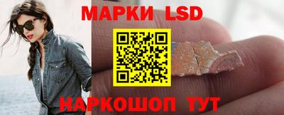 стаф Кинель
