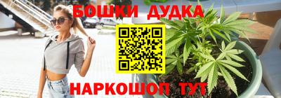 стаф Кинель