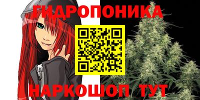2c-b Кингисепп
