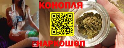 2c-b Кингисепп