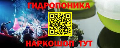 2c-b Кингисепп