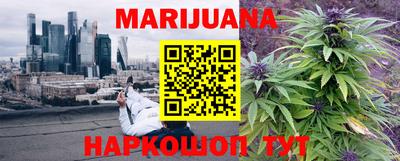 стаф Кинель