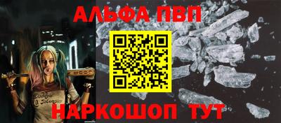 2c-b Кингисепп