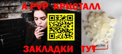стаф Кинель