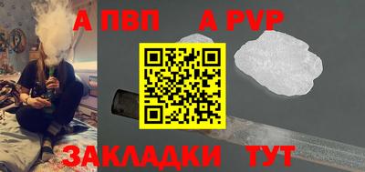 стаф Кинель